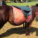 Illustration for article titled Pony Anxiously Waiting For Attendant To Flag Large Child As Too Big For Ride